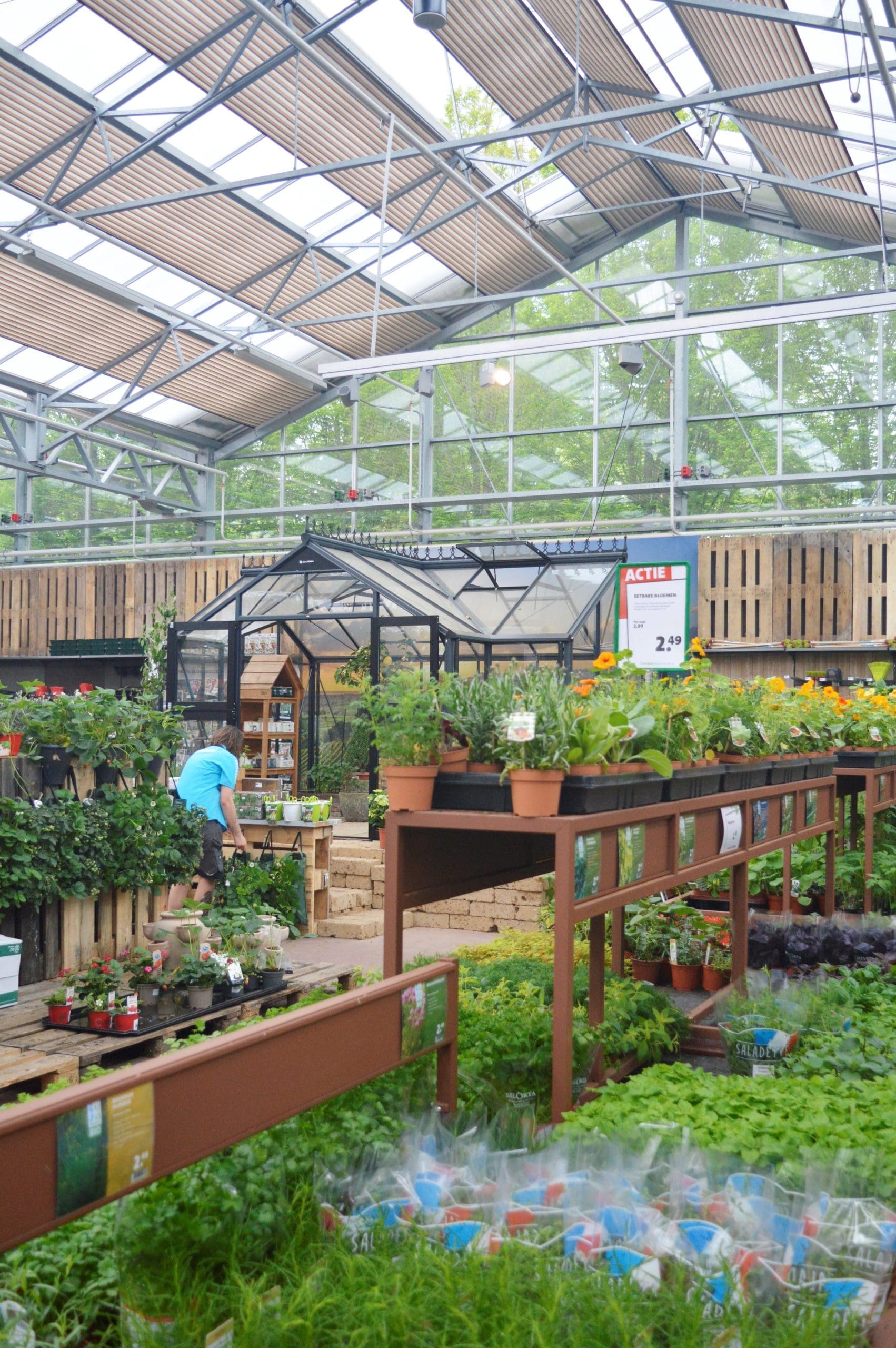 Intratuin Breda Kweek en Oogst afdeling in de kas