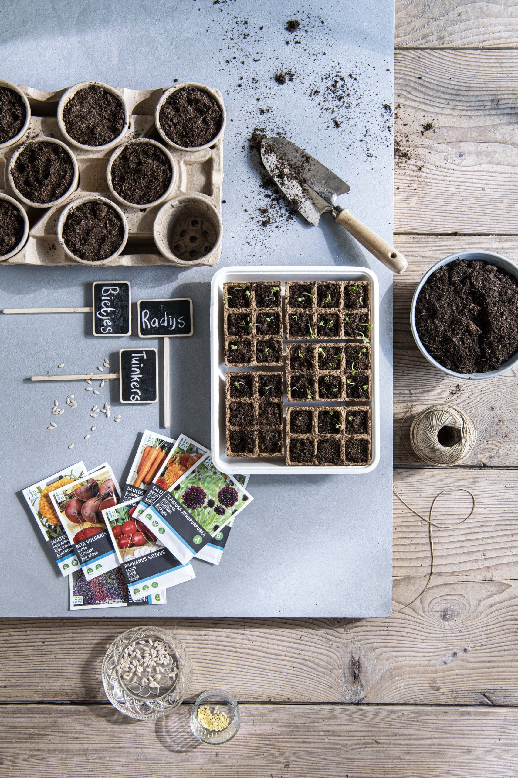 Intratuin Breda moestuin start zaadjes mini in opkweekbakje