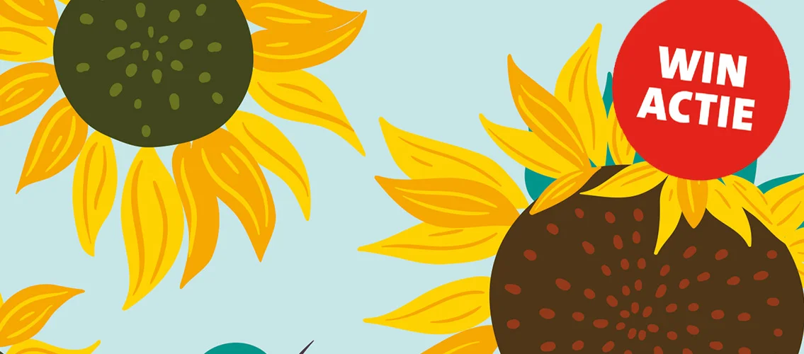 winactie banner met zonnebloemen